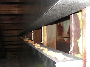 An effective attic insulation system in a Florence home