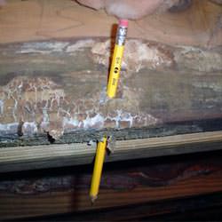 A floor joist with severe mold damage in Piedmont