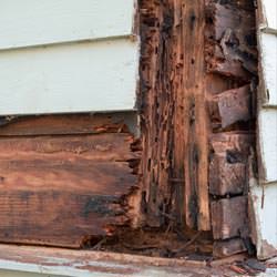 termite damaged wood in a Chapin crawl space